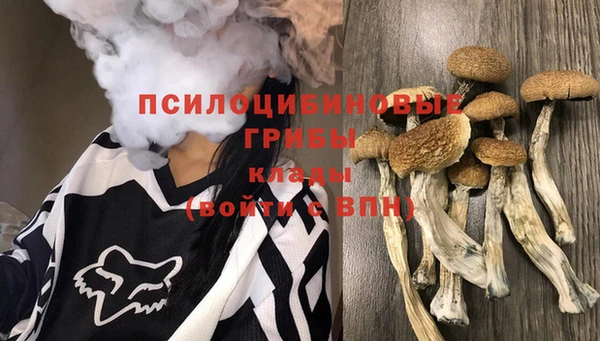 героин Михайловка