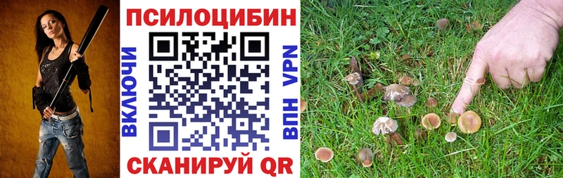 Галлюциногенные грибы ЛСД  Белозерск 